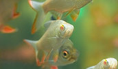 企業(yè)風(fēng)采